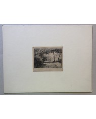 Stampa antica Vallon pres de Lecco 1855