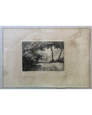 Stampa antica Vallon pres de Lecco 1855