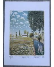 Incisione Bellinzago di Marco Zambrelli