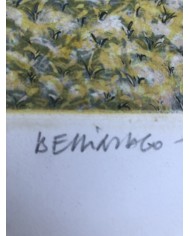 Incisione Bellinzago di Marco Zambrelli