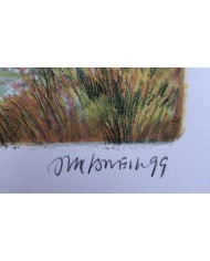 Zambrelli Marco " Innisfree " incisione all'acquatinta ceramolle