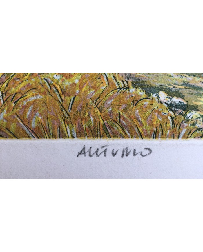 Autunno incisione all'acquaforte acquatinta di Marco Zambrelli