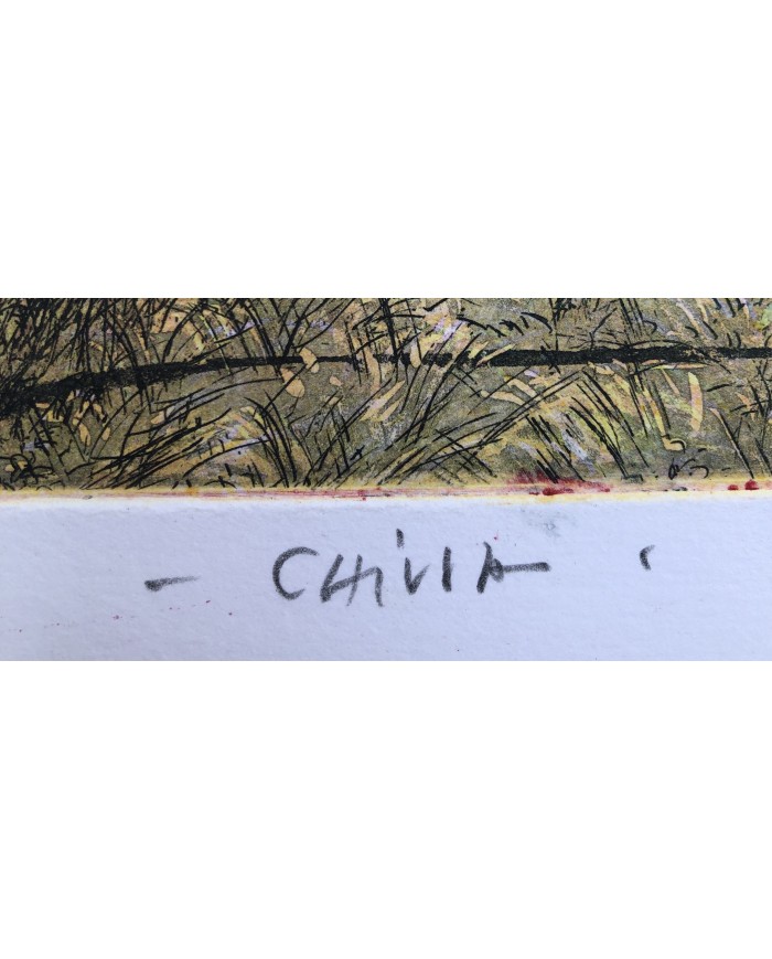 "Chiusa " acquatinta ceramolle di Marco Zambrelli