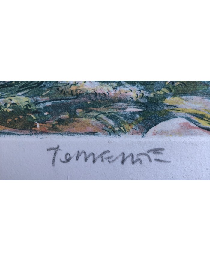 Incisione "Torrente" di Marco Zambrelli