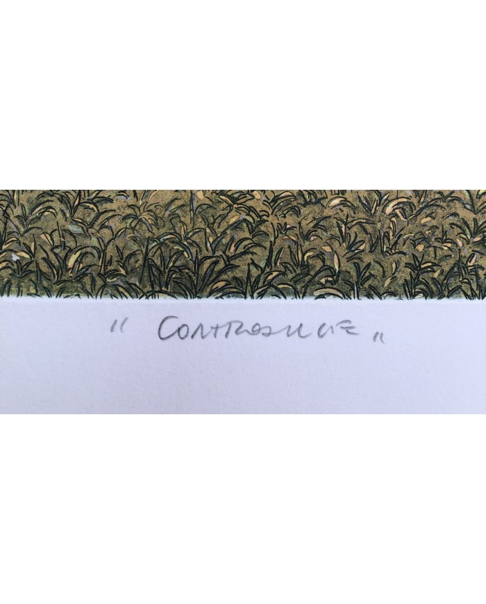 "Controluce" acquatinta ceramolle di Marco Zambrelli