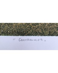 "Controluce" acquatinta ceramolle di Marco Zambrelli
