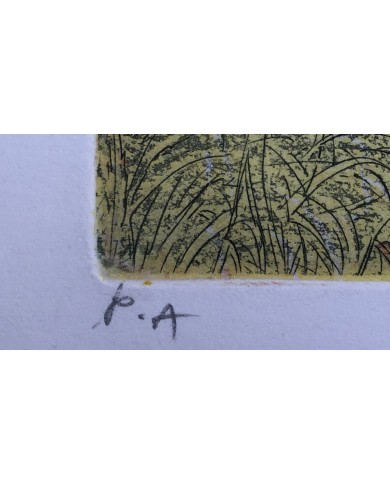 "La Fiaba" acquatinta ceramolle di Marco Zambrelli