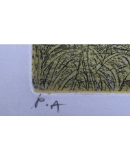 "La Fiaba" acquatinta ceramolle di Marco Zambrelli