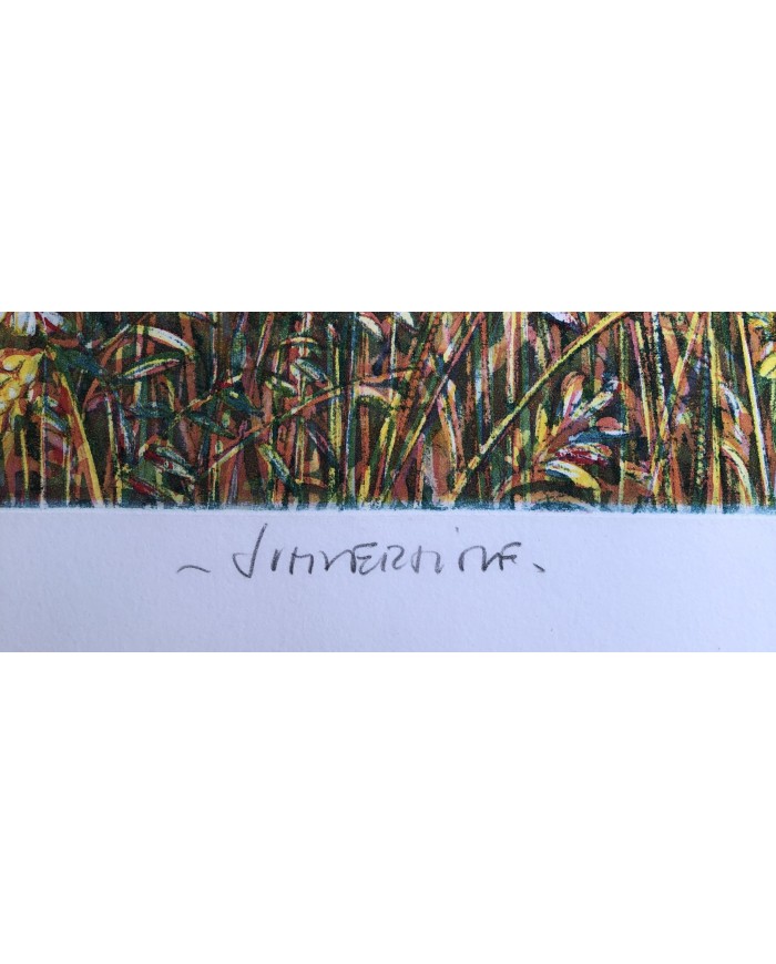 "Summertime" acquatinta ceramolle di Marco Zambrelli