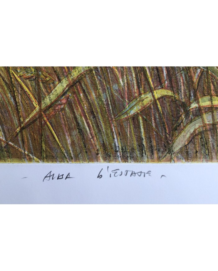 "Alba d'Estate" acquatinta ceramolle di Marco Zambrelli
