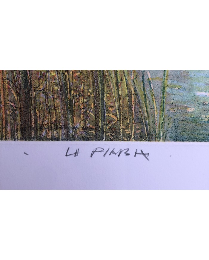 "La Fiaba" acquatinta ceramolle di Marco Zambrelli