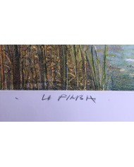 "La Fiaba" acquatinta ceramolle di Marco Zambrelli