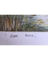 "Alle Fonti" acquatinta ceramolle di Marco Zambrelli