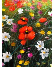dipinto a olio con papaveri e margherite dell'artista Ilaria Ciardi dipinto a olio con papaveri e margherite dell'artista Ilaria Ciardi